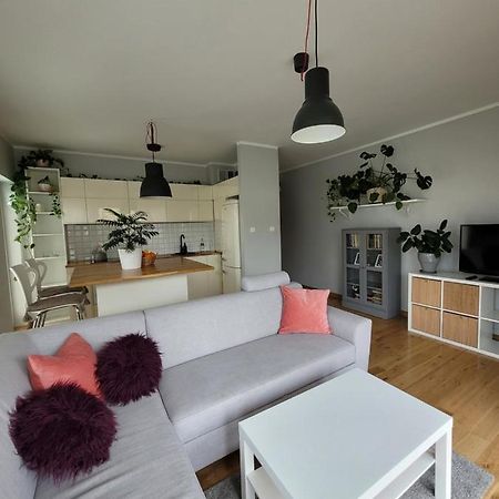 Maciejkowa Apartman Szczecin Kültér fotó
