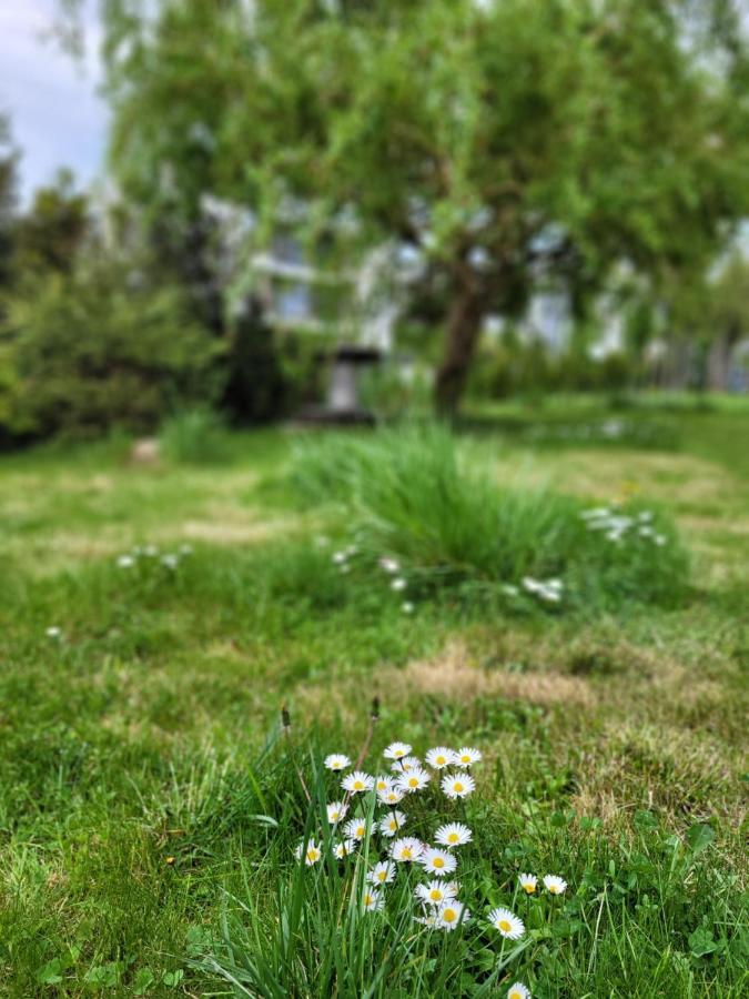 Maciejkowa Apartman Szczecin Kültér fotó