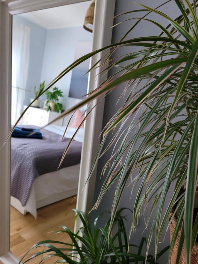 Maciejkowa Apartman Szczecin Kültér fotó