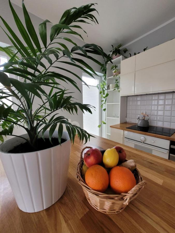 Maciejkowa Apartman Szczecin Kültér fotó